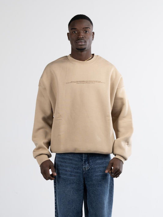 Beige Crew neck star